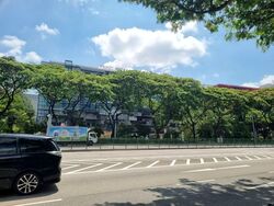 Upper Paya Lebar Road (D19), Shop House #546277991